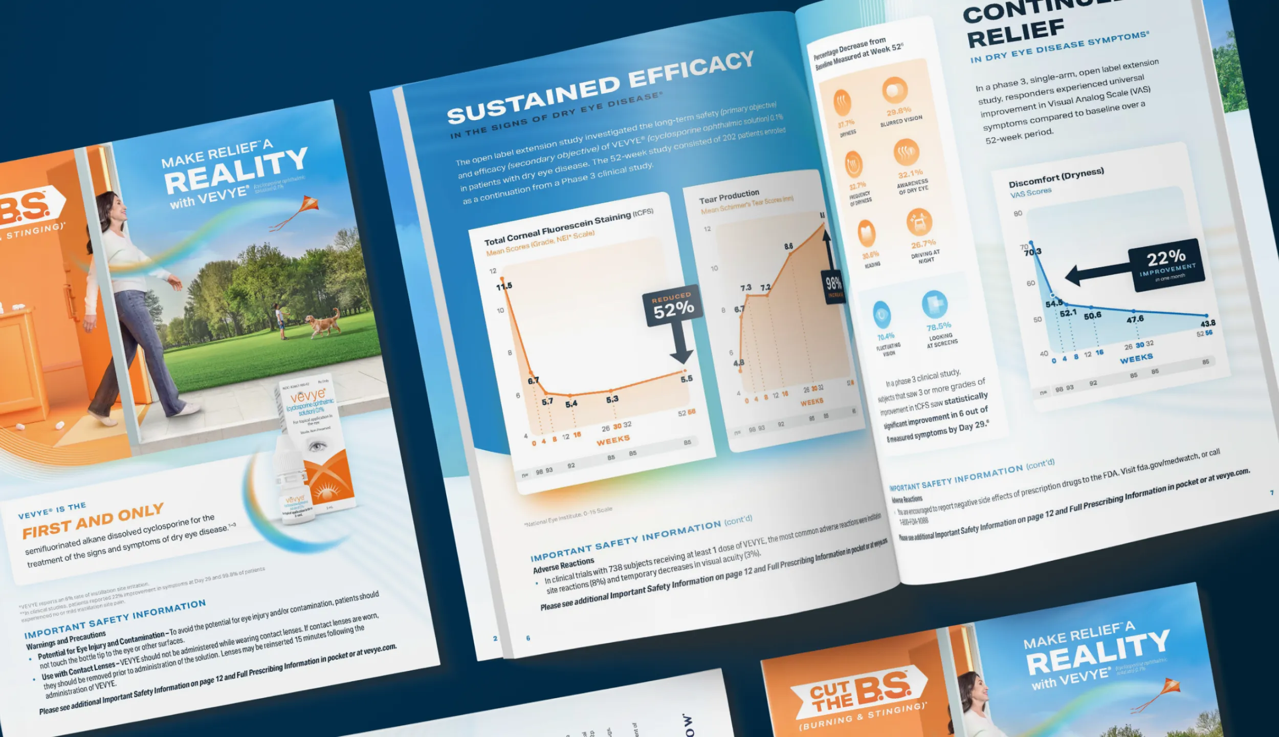 VEVYE Sales Aid mockups